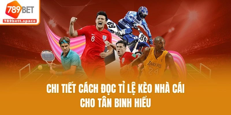 Chi tiết cách đọc tỉ lệ kèo nhà cái cho tân binh hiểu