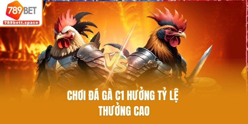 Chơi đá gà C1 hưởng tỷ lệ thưởng cao