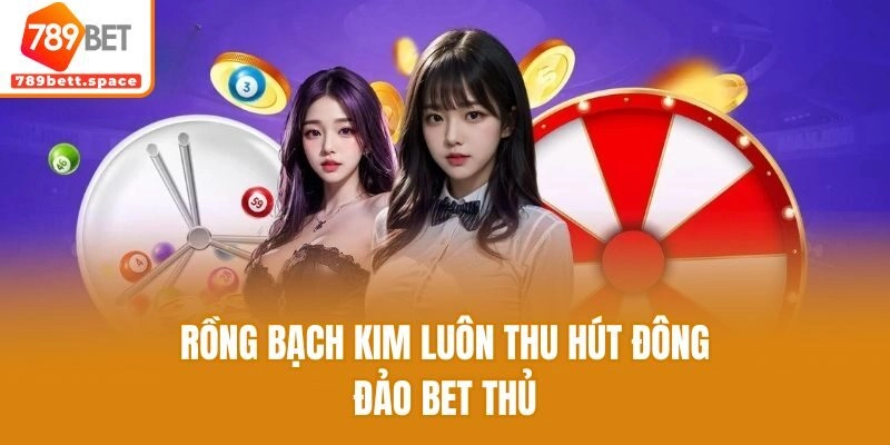 Rồng Bạch Kim luôn thu hút đông đảo bet thủ