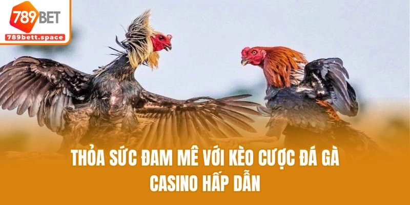 Thỏa sức đam mê với kèo cược đá gà casino hấp dẫn