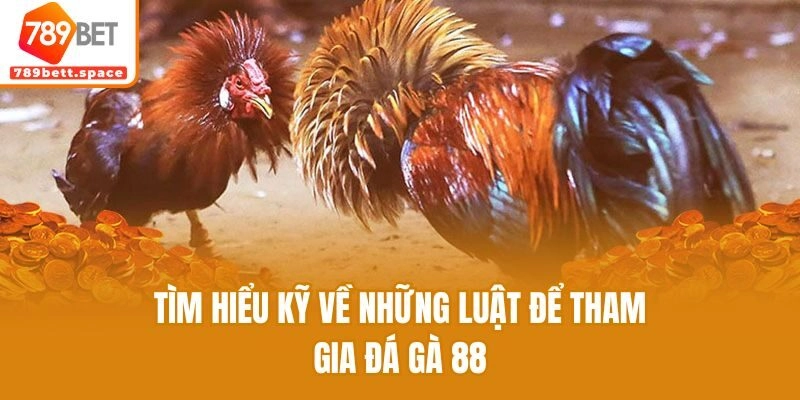 Tìm hiểu kỹ về những luật để tham gia đá gà 88