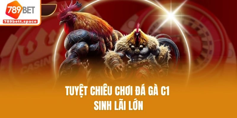 Tuyệt chiêu chơi đá gà C1 sinh lãi lớn