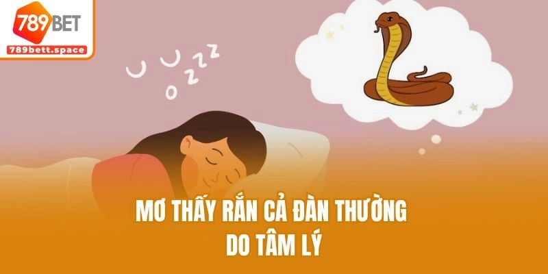 Mơ thấy rắn cả đàn thường do tâm lý