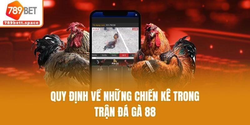 Quy định về những chiến kê trong trận đá gà 88