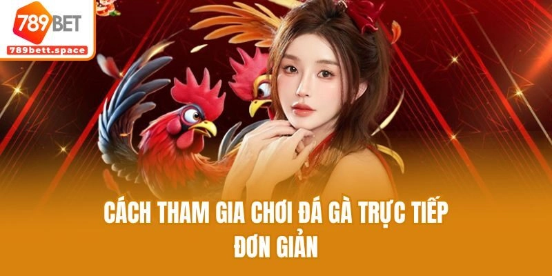 Cách tham gia chơi đá gà trực tiếp đơn giản