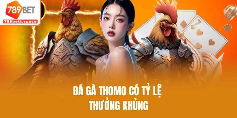 Đá gà Thomo có tỷ lệ thưởng khủng