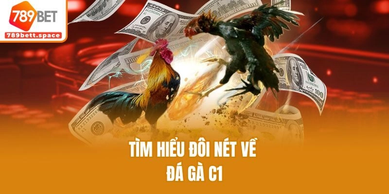 Tìm hiểu đôi nét về đá gà C1
