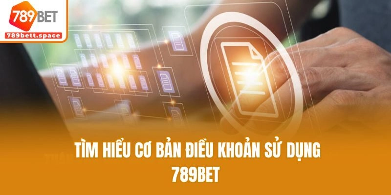 Tìm hiểu cơ bản điều khoản sử dụng 789bet